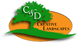 C & D Logo