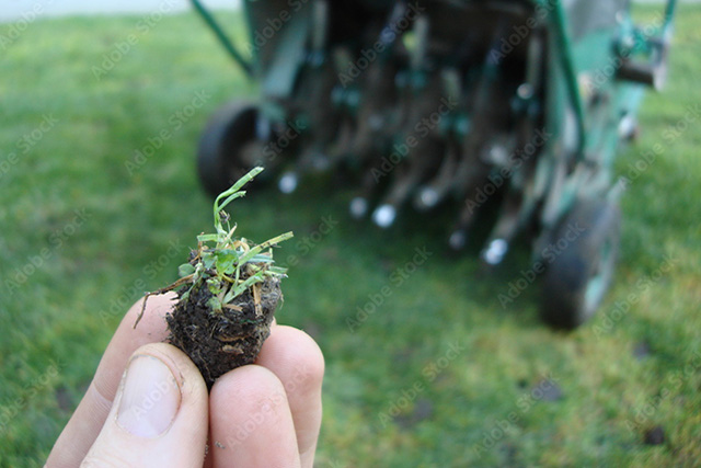 aeration machine showing grass plug