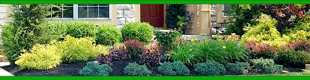 Landscaping