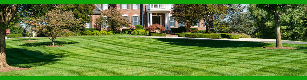 Lawn