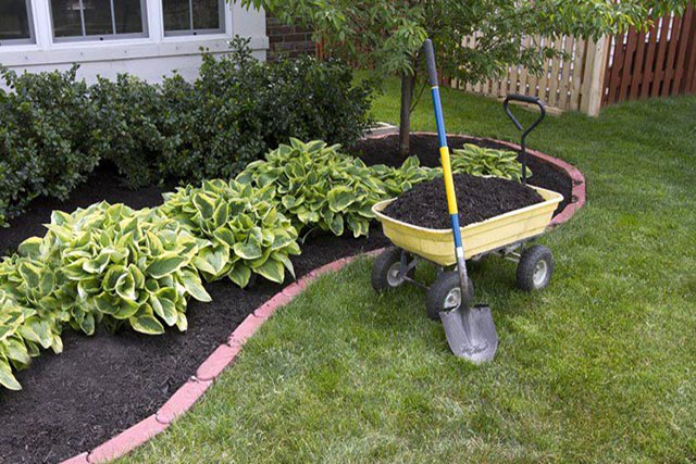 Seasonal Clean-up