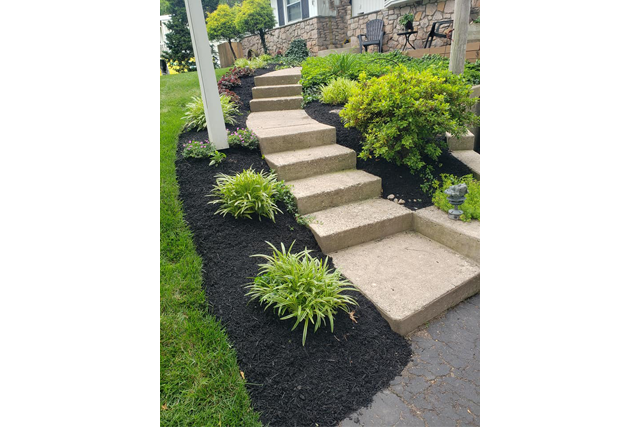 Our work - after steps