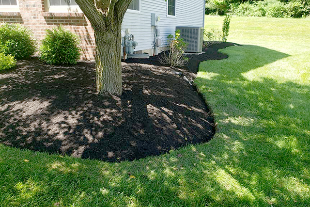 Our work - after weeding and mulch