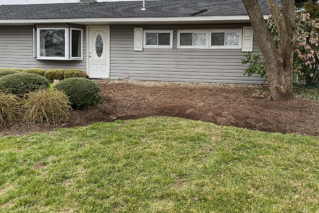 Our work - tree removal after