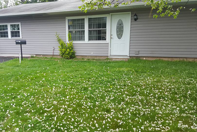 Our work - install before
