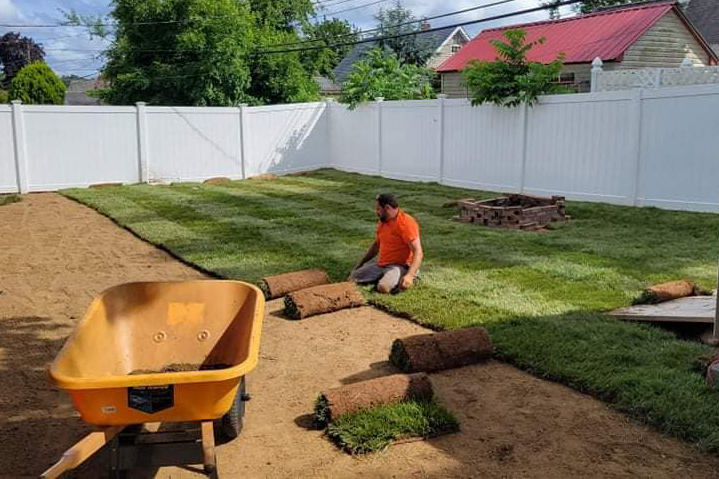 Backyard sod project