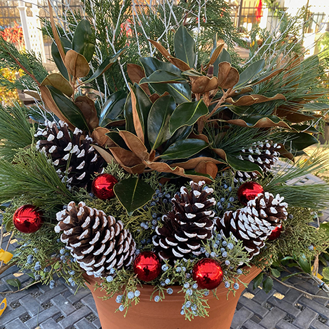 Container Garden Holiday